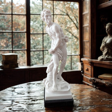 David Statue Von Bernini Aus Marmorstaub | Da...