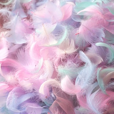Natural Goose Feathers Plumes 4-7cm 7-11cm Swan Feather Plume for Home