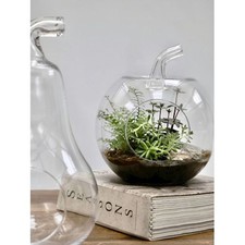 2 Vasi Idroponici In Vetro Con Vassoio Bambù - Stazione Propagazione Piante Per Casa E Ufficio - Foto 7