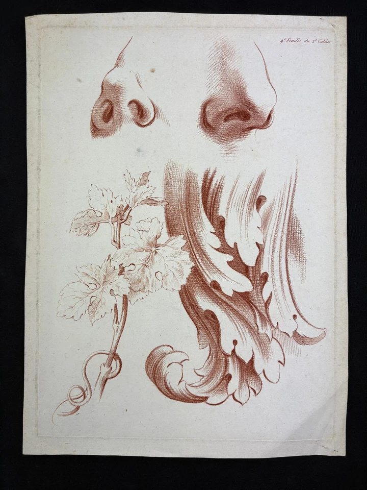Studie von anatomischen und ornamentalen Formen, Röterkupferstich um 1750 - Bild 2 von 4