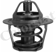 Thermostat Citroen C25