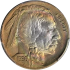 1936-D Buffalo Nickel PCGS MS64 Crazy Rainbow Toning Superb Eye Appeal