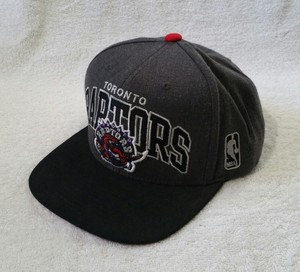 raptors snapback mitchell and ness