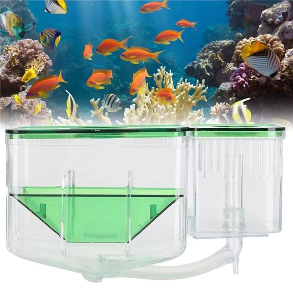 Scatola allevamento pesci acquario portatore vivo serbatoio avannotti Hatchery trasparente acquario UK