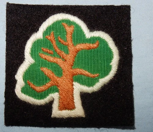 WW2 46th INFANTRY DIVISION FORMATION SIGN PATCH MILITARY BADGE WORLD WAR II