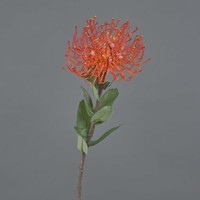Artplants Protea KüNstlich Baily, Orange, 50Cm, Ø12Cm