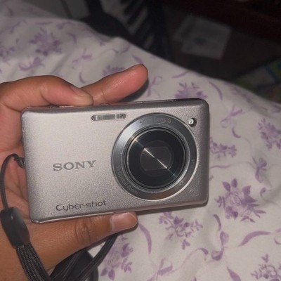 Sony Cyber-Shot DSC-W390 Digital Camera 14.1 MP 5x Optical Zoom Fast Shipping