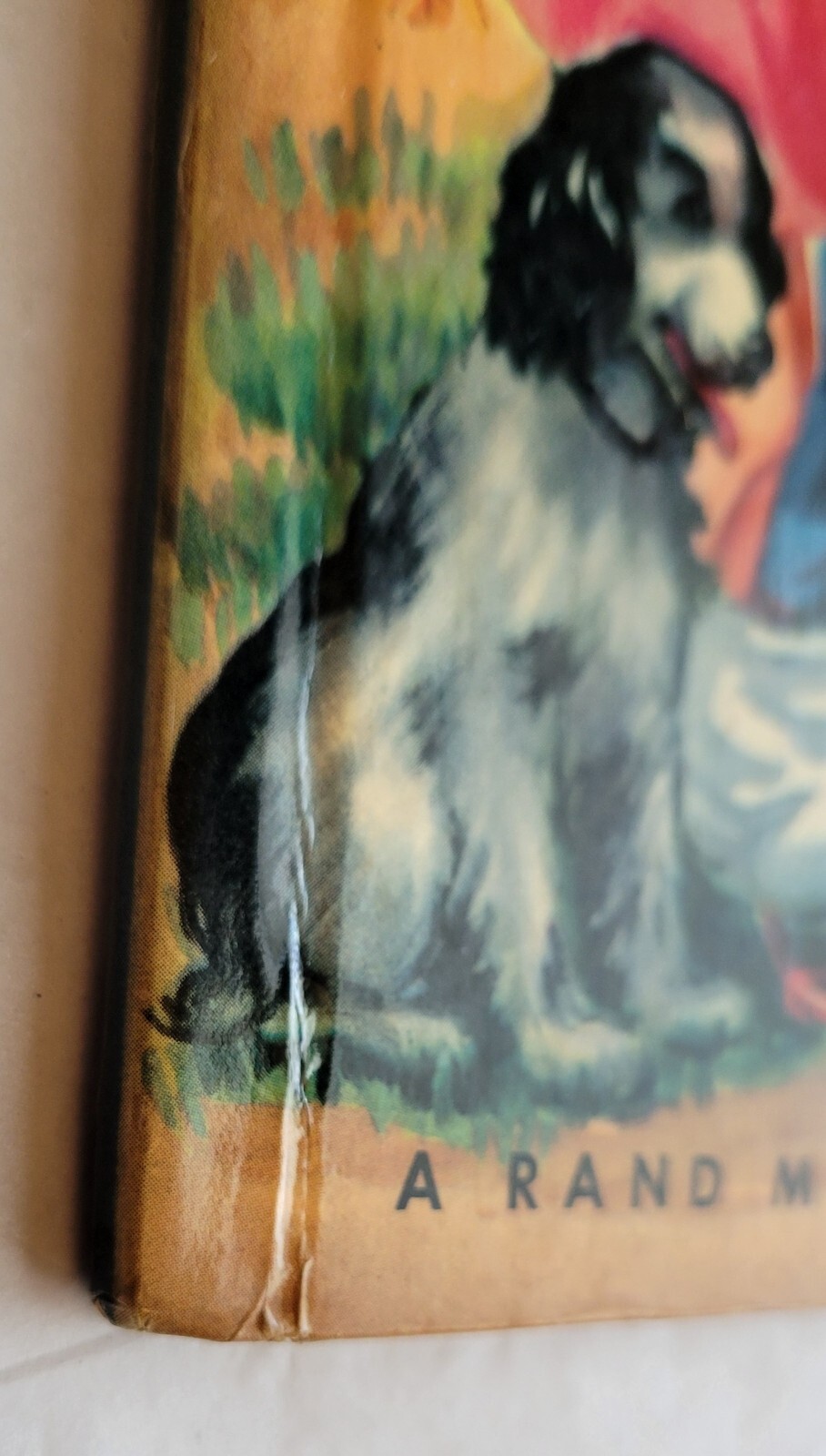 Picture 3 of 8