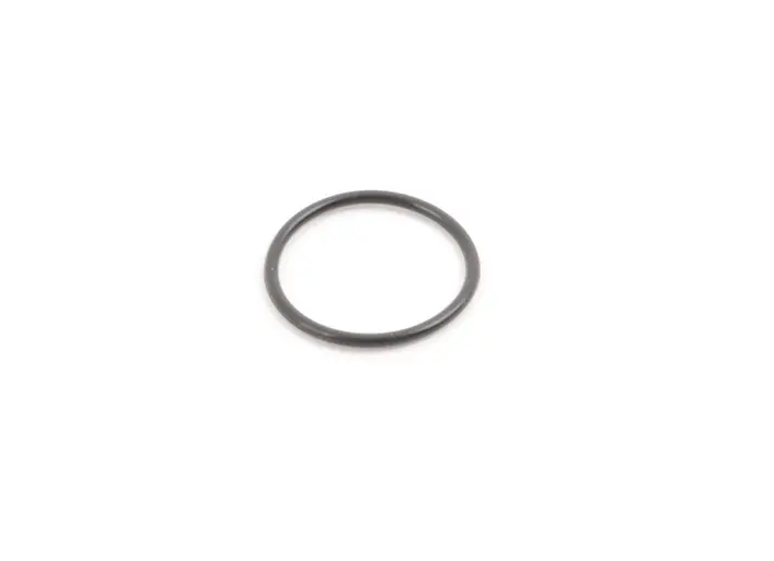 MERCEDES-BENZ ML W164 O-Ring für Kraftstoffkanal A0169972148