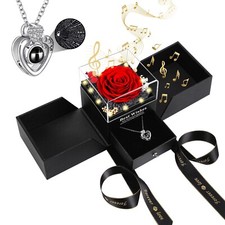 Preserved Real Rose Gift Box with Necklace, Eternal Flowers Rose Birthday Gif...