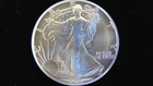 1989 American Silver Eagle 1 Troy Oz .999 Fine Silver ~ Nice