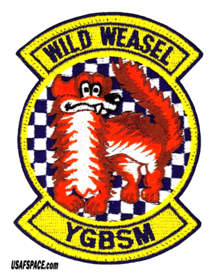 USAF 55TH FIGHTER SQ -55 FS- F-16 WILD WEASEL -YGBSM- Shaw AFB, SC