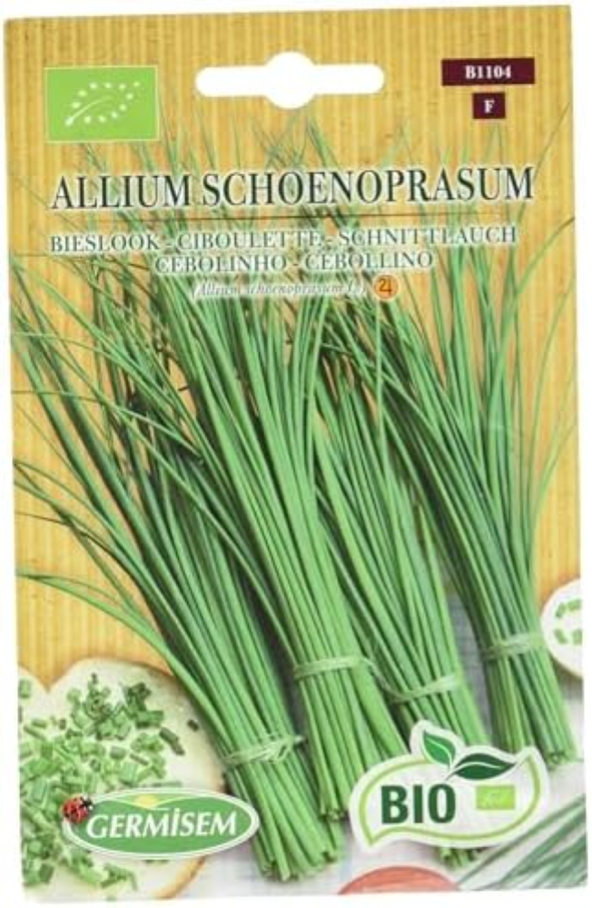 Biologico Allium Schoenopasum Semi di Erba Cipollina 2 g