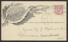 1906 Steele Briggs Seeds Advert PSC #P24 1c Edward Toronto to New Lowell ONT