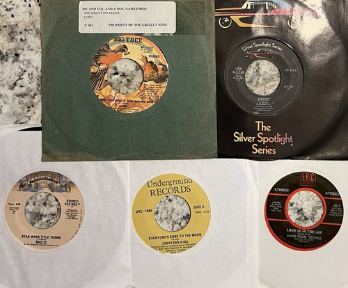 95 Records Elvis Stones Skynyrd Zeppelin Def Leppard Sheryl Crow Backstreet REM - Picture 15 of 19