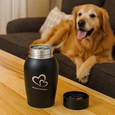 Memorials Pet Urn Storage Container Portable Keeping Memories Memorial Ash US