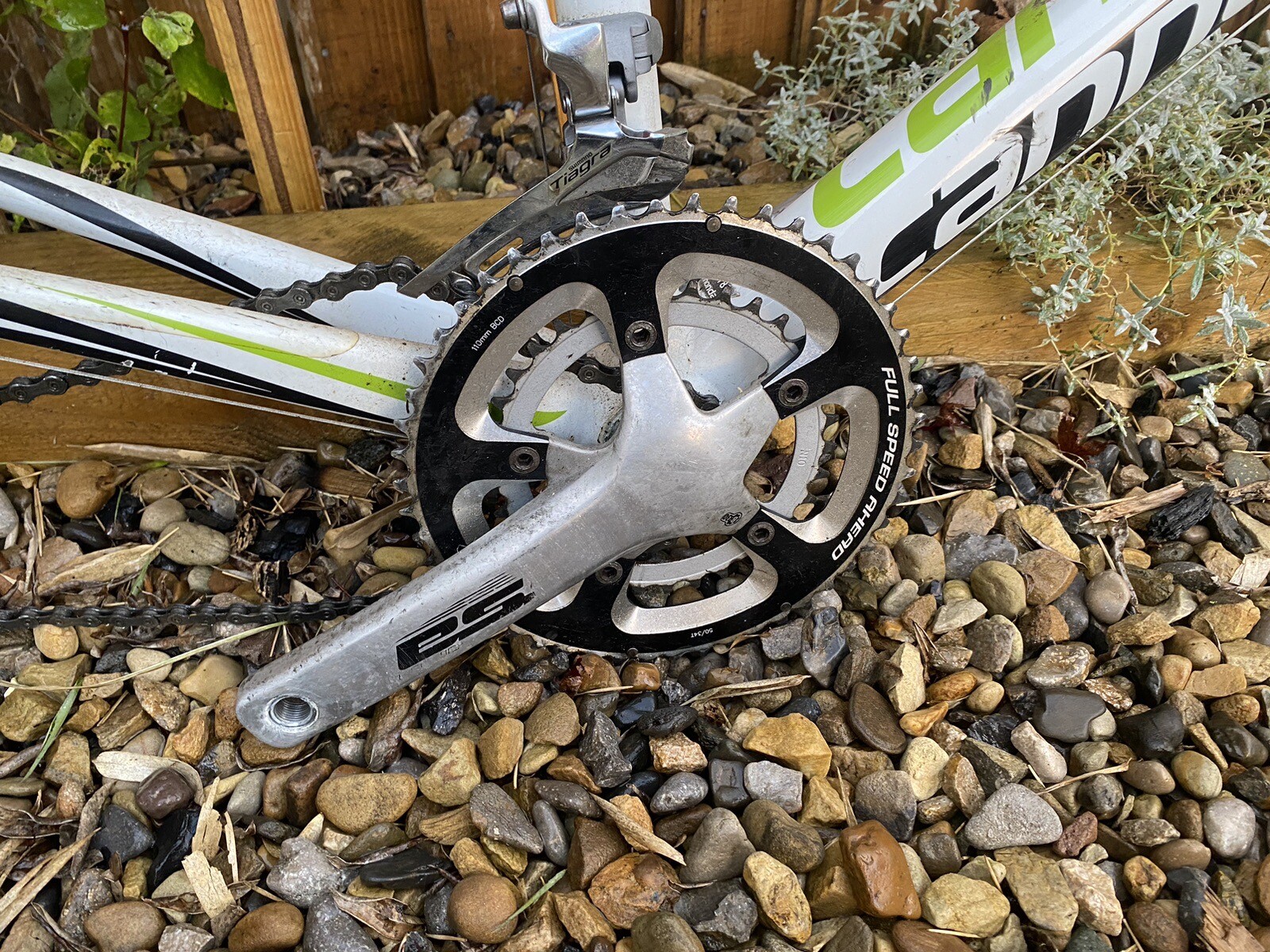 honda transalp 600 scrambler