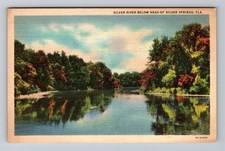 Silver Springs FL-Florida Silver River Below Head Silver Spring Vintage Postcard