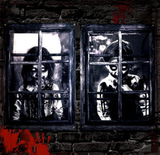 4 PACK Scary Halloween Window Covering, Spooky Haunted House Curtains 47"x31"