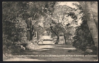 Ansichtskarte San Esteban, Camino los Molles a los Cocos 1913 