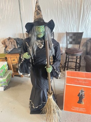 Gemmy Halloween 2010 Target Animated Cottage Coven Witch
