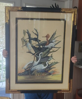 GORGEOUS ARTHUR SINGER LG BIRDS OF THE WORLD PAINTING ON SILK C-1910 ...