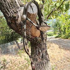 Vintage Diablo 10K/12K Gold Und Sterlingsilber Poco Bueno Kopfstall