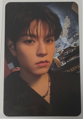 Stray Kids Do it makestar POB Lucky Draw Official Photo card | eBay