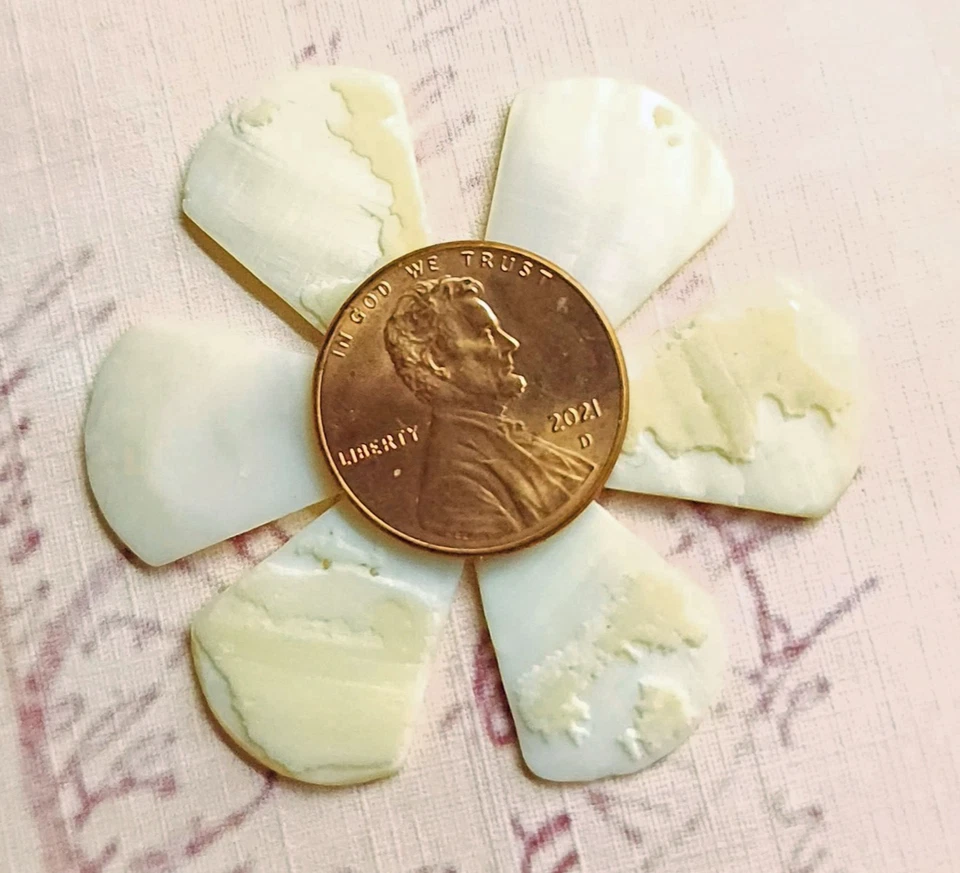 6 cabochões esfregões vintage da década de 1940 em forma de sino concha de madrepérola ~ 3/4" x 9/16" - Imagem 4 de 4