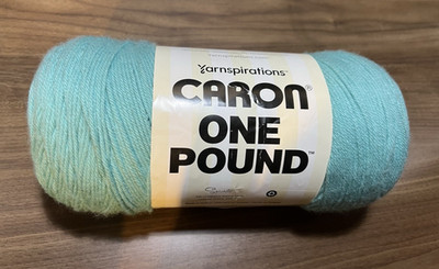 Caron One Pound Yarn Robins Egg Acrylic 16oz 812yds Medium 4