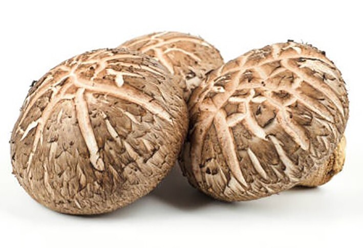 Cápsulas Shiitake (lentinula edodes) - 100% totalmente sin rellenos