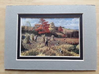 Pheasant In a Cornfield  - A L Ripley Print 1953
