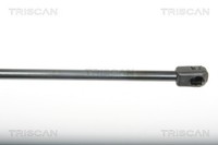 Triscan Heckklappen DäMpfer Gasfeder Kofferraum 8710 25243 FüR Renault Megane 3