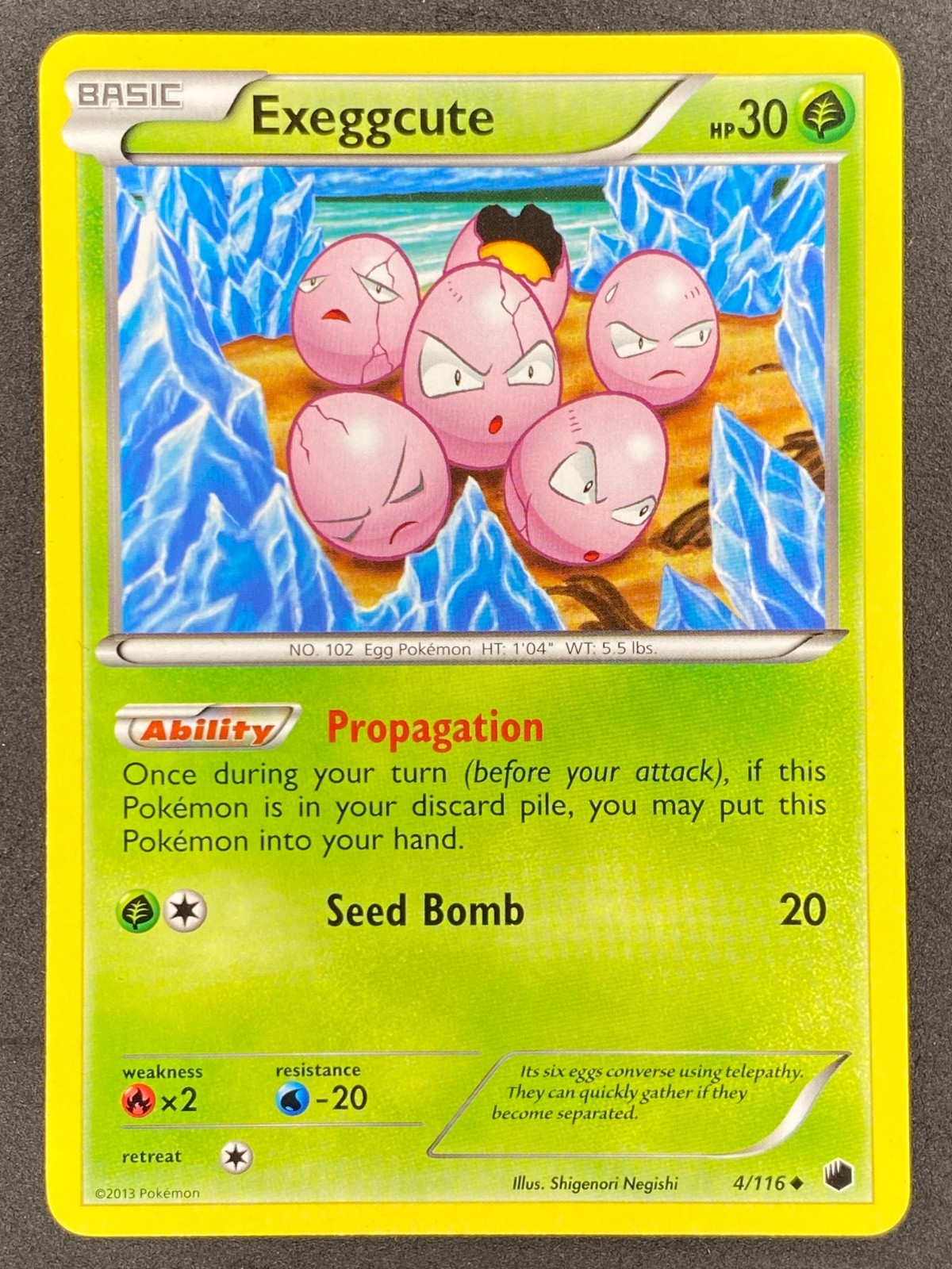 Pokémon Exeggcute 4/116 PLF Plasma Freeze LP/NM