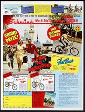eBay Auction Picture