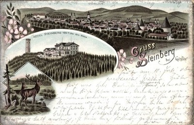 Litho Steinberg Goslar am Harz, Panorama, Hotel Steinberg, Hirsch - 4514525