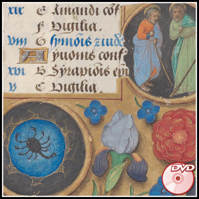 BOOKS of HOURS - 14 Very Rare COLOR Illuminated Manuscripts - 1400