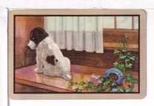 Single Vintage ID Named Dog, "Puppies", Playing Card DA 3-8 A, Linen Stock