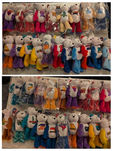 50 States Of America Limited Treasures Coin Bears w/ 4 Territories + D.C. + Tags