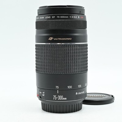 Canon EF 75-300mm F/4-5.6    Zoom Lens [Near Mint]