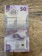 50 Pesos Axolotl Mexican Bill MEXICO 2023 Banknote - Ajolote 50 Pesos CL Series