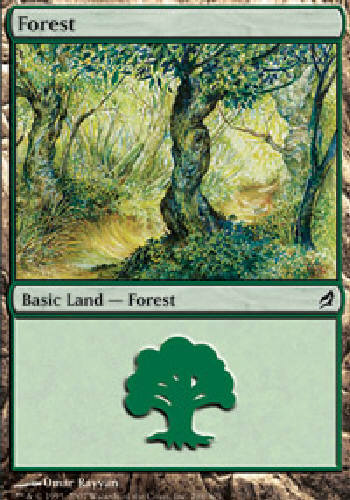 FOREST #298 Lorwyn MTG Magic the Gathering Cards DJMagic | eBay