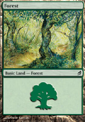 FOREST #298 Lorwyn MTG Magic the Gathering Cards DJMagic | eBay