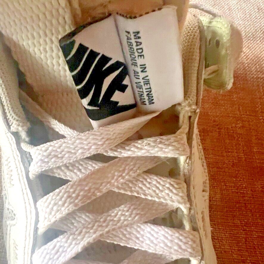 Nike Air Dunk Jumbo Photon Dust White Gum Skate Shoes SB 8.5  display picture 3