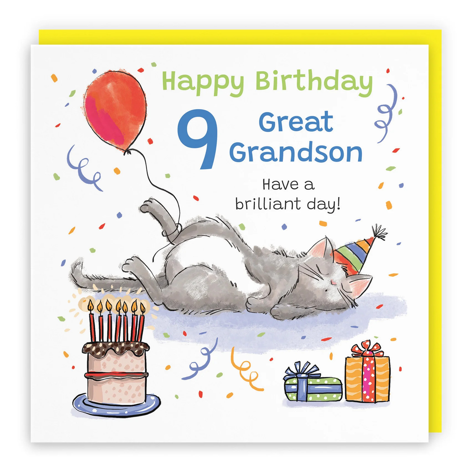 9th Great Grandson Birthday Card Sleepy Cat Animal Party