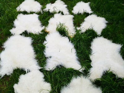 Real eco Iceland sheepskins sheepskin sheepskin fur approx. 100 cm white bargain