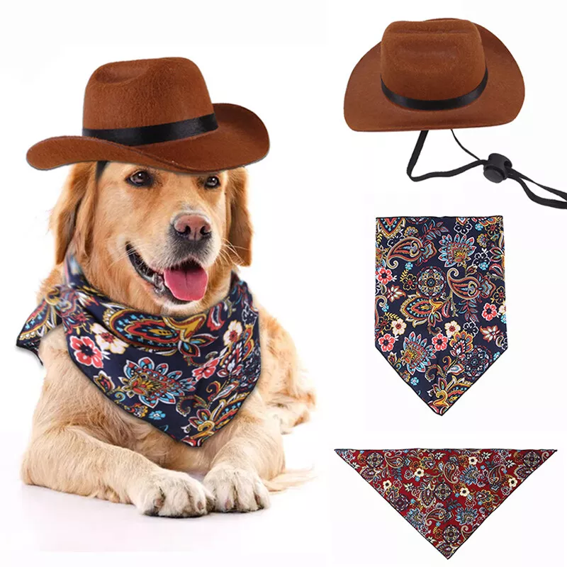Dog top cowgirl hat