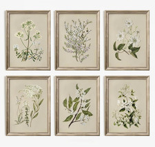 Vintage Botanical Wall Art Set of 6 Neutral Floral Canvas Wall Decor Wildflower