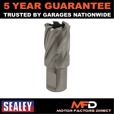 Sealey Worksafe �� 23 mm HSS Mag Bohrer Schnitttiefe 25 mm RBHSS23S