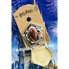 2025 Harry Potter Chicago Exclusive Chocolate Frog Limited Edition Pin